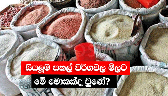 Hiru Rice සියලූම සහල් වර්ගවල මිලට මේ මොකක්ද වුණේ? - video - Rice - Hiru Gossip ...