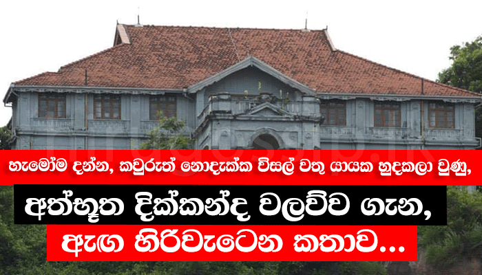 හැමෝම දන්න, කවුරුත් නොදැක්ක විසල් වතු යායක හුදකලා වුණු, අත්භූත දික්කන්ද ...