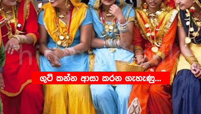 68227-indiyan139572770.png