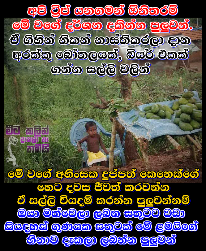 FB%20(6).png