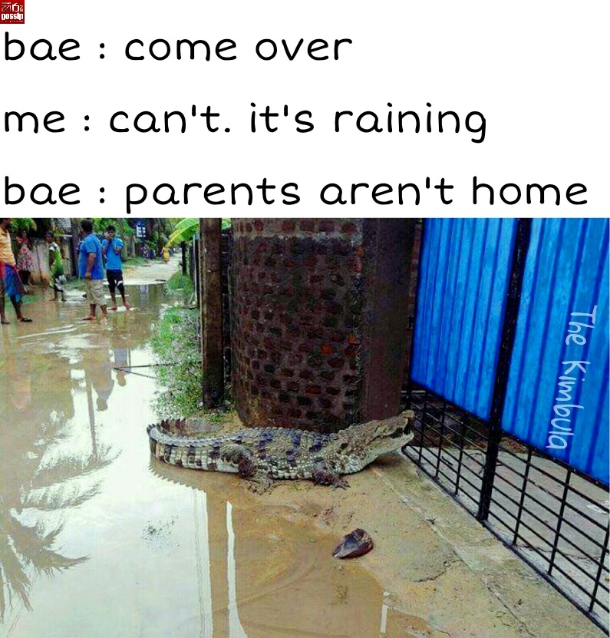 nnnt.jpg