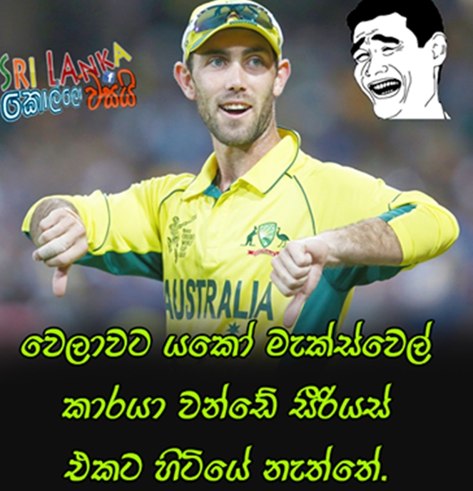 maxwell6.jpg