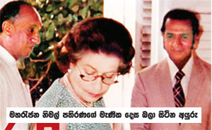 nimal1.jpg