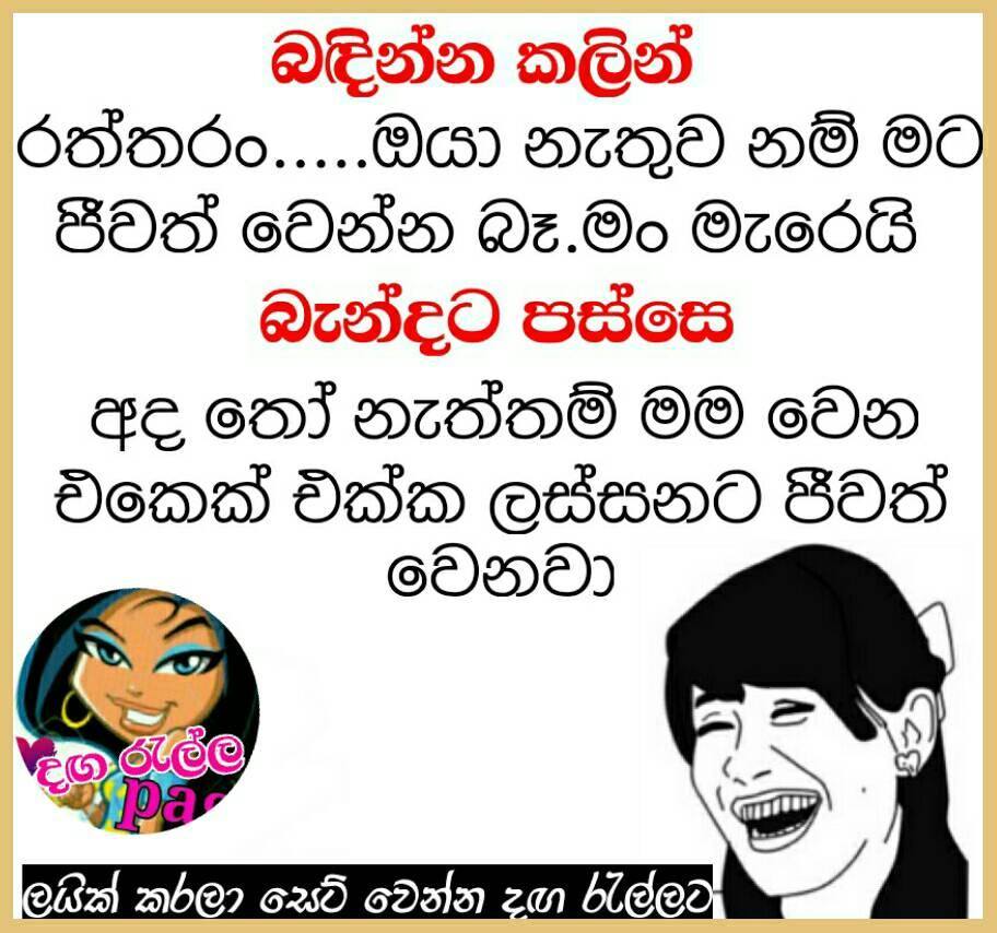 06.jpg