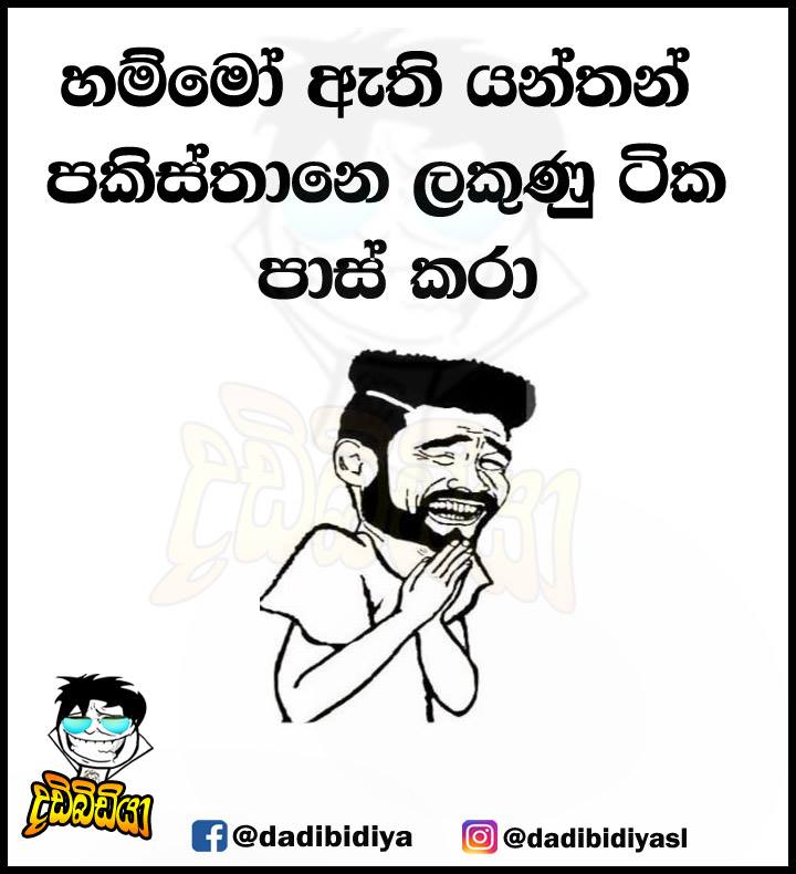 yrtyryry4646.jpg