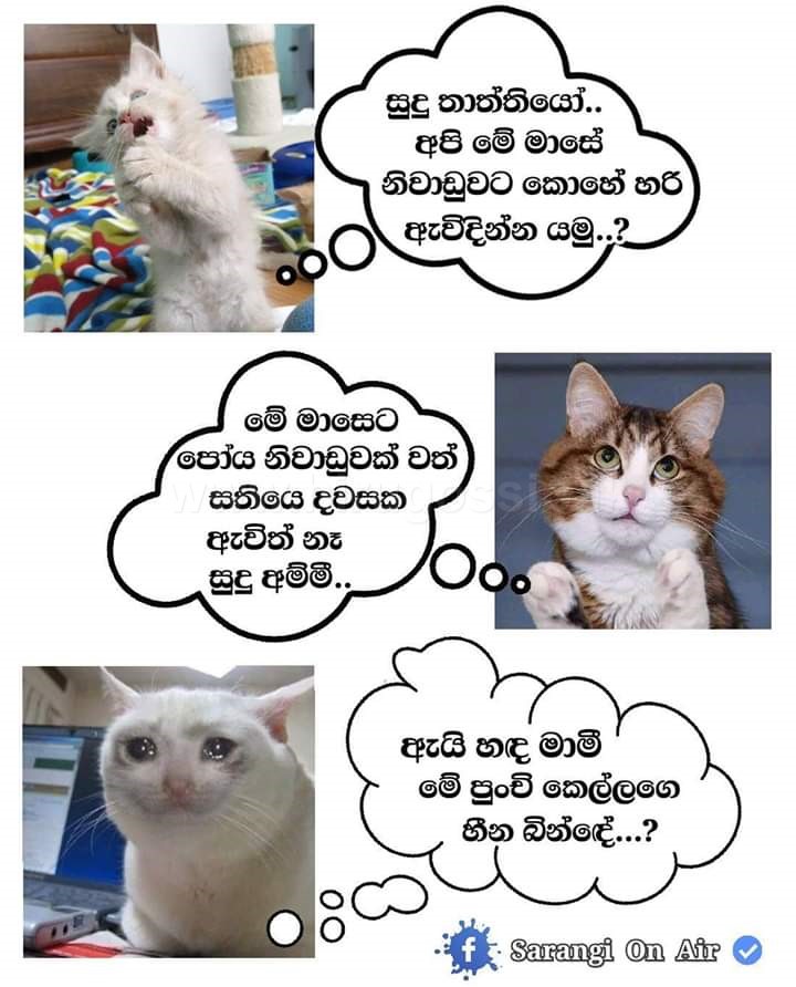 postr_20.jpg