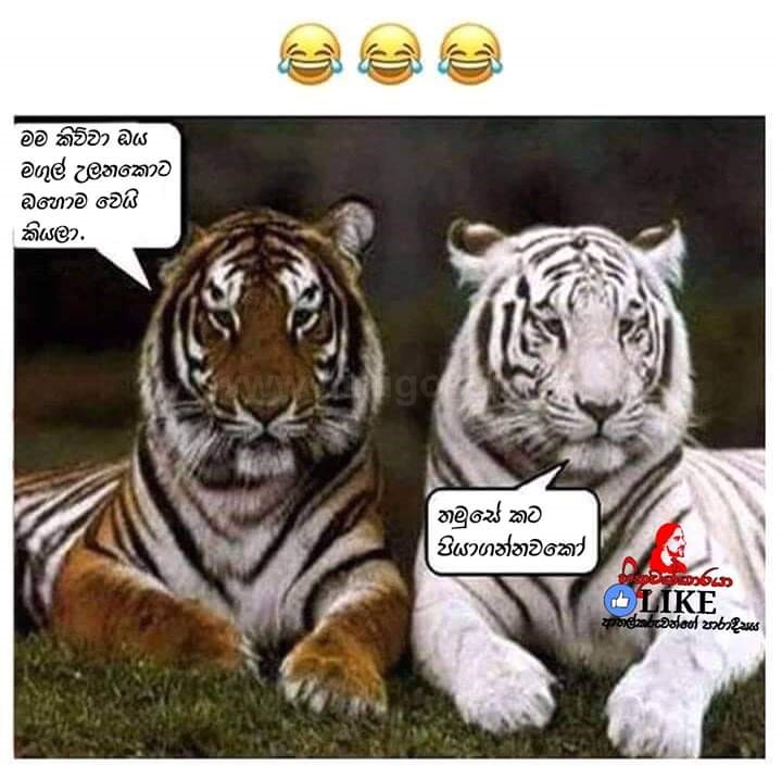 postr_28.jpg