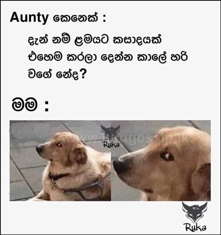 fbporr_28.jpg