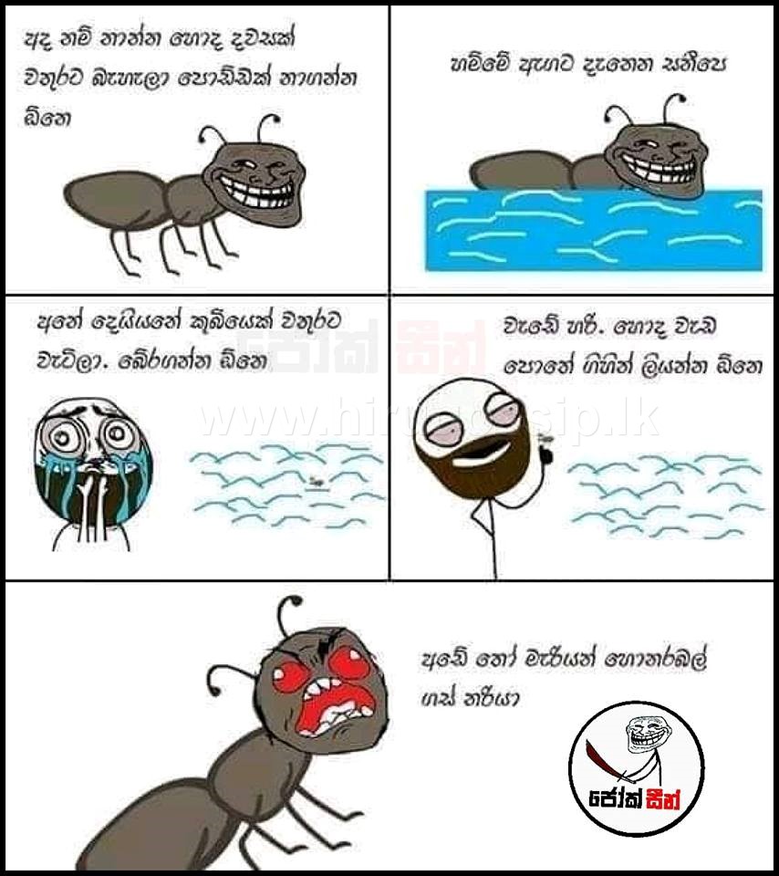 fbporr_6.jpg