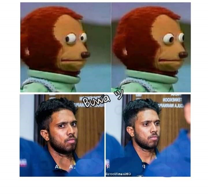 weekk_24.jpg