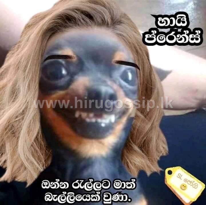 මදුරුවෙක් හරි වෙලා ඔබේ ළඟට එන්න.. අනේ මැණික අදවත් නෙට් එක නොදා ඉන්න.. -  බුකියේ පළවූ රස කතා එකතුවක් මෙන්න - Photos - Fecebook Memes - Hiru Gossip,  Lanka Gossip | Hirugossip |