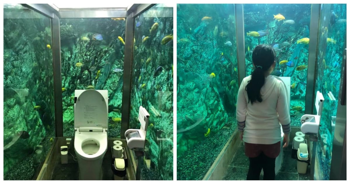 ලැජ්ජත් හිතෙනවා හැබැයි, මාළුත් බලාගෙන ඉන්නවා... ඒ කොහොම වුණත්, මෙතන හරි