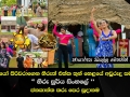 තරු නෑදෑයෝ පිරිවරාගෙන හිරුත් එක්ක තුන් හෙළයේ අවුරුදු සමරමු හෙට  හිරු සූර්ය සිංහලේ   ජනකාන්ත තරු පෙර සූදානම